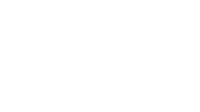 Live Sports Network