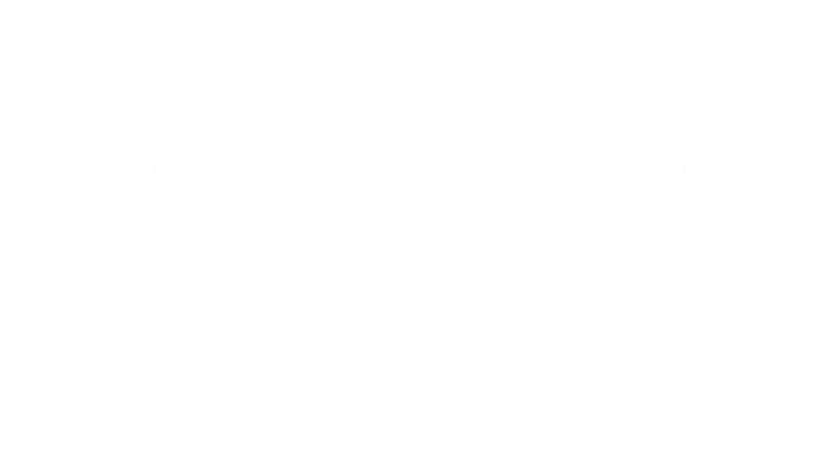 Global News Network