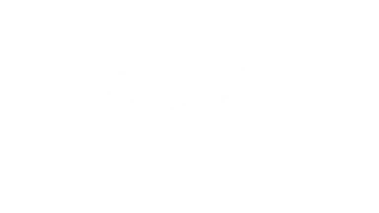 Live Motorsport Network